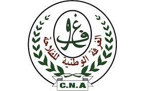 Logo Sponsor 11